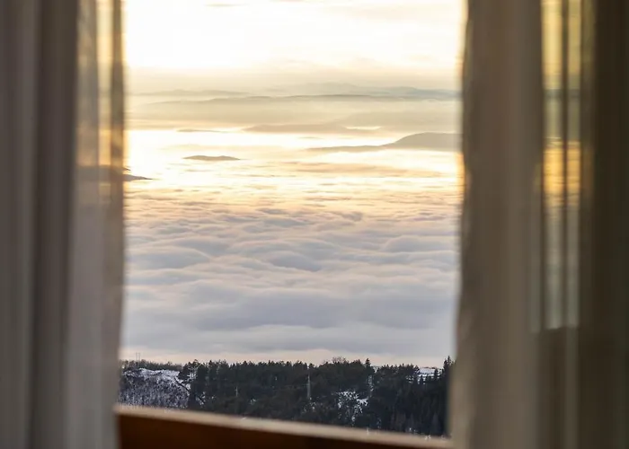 Апартаменты Luxe Horizon & Копаоник