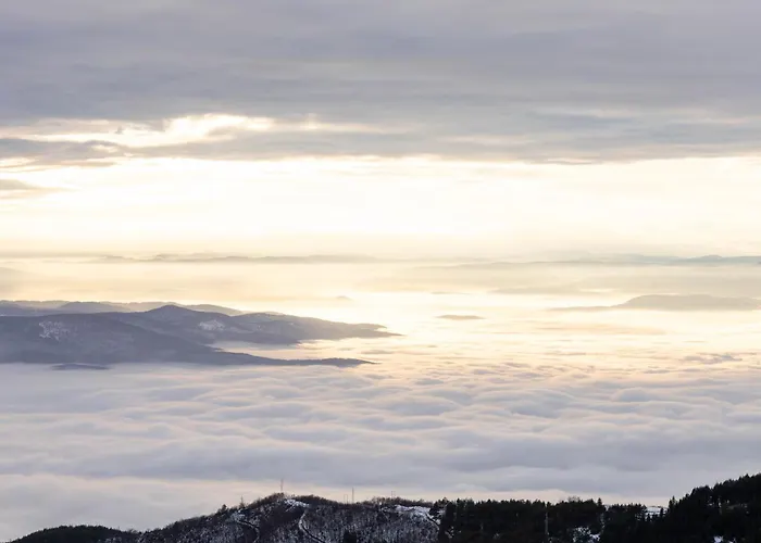 公寓 Luxe Horizon & *